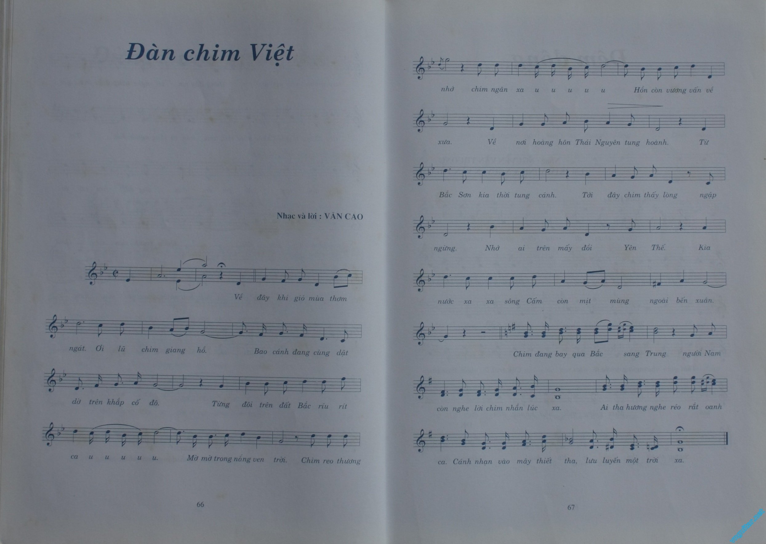 110 Dan Chim Viet.jpg