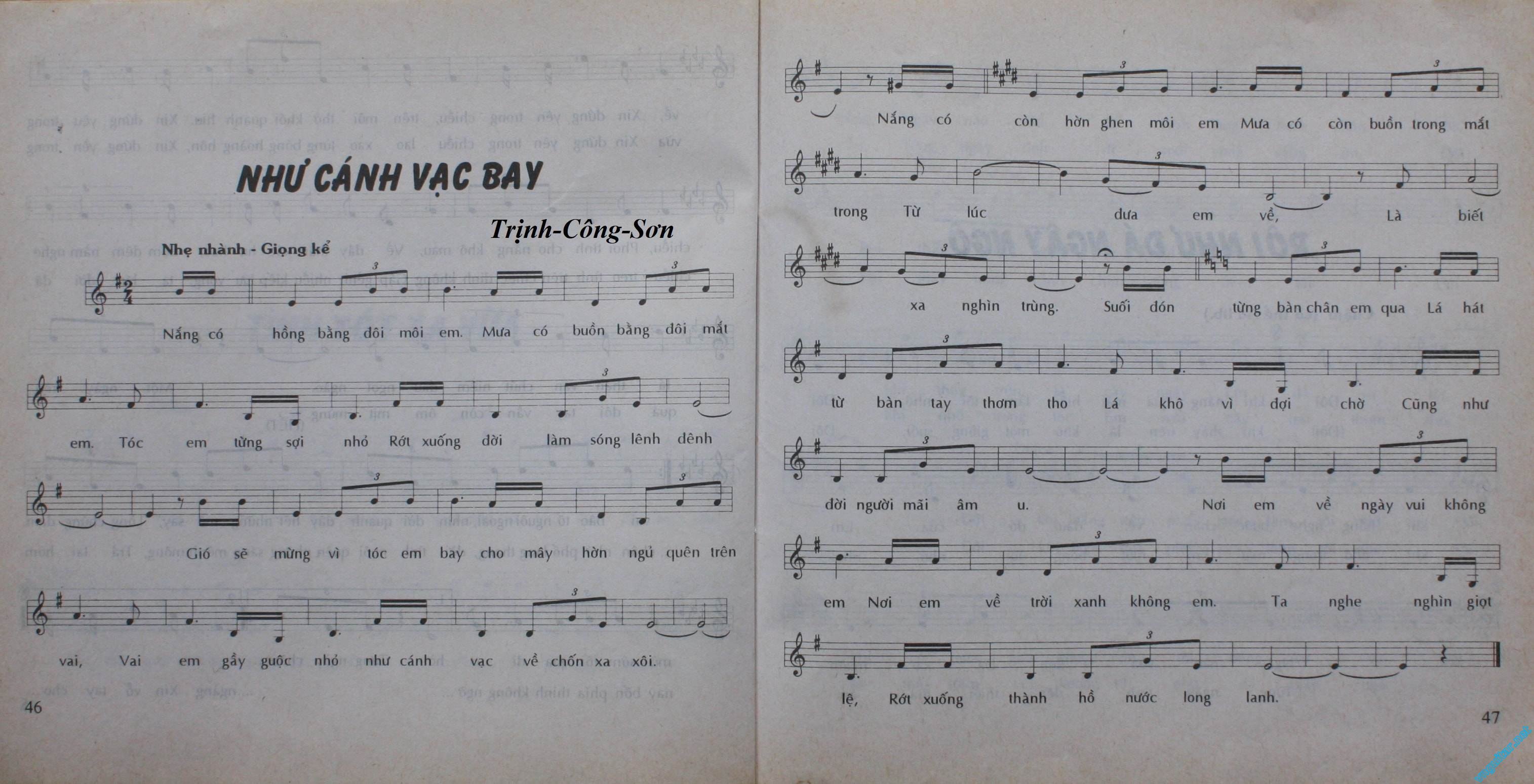 53 Nhu Canh Vac Bay.jpg