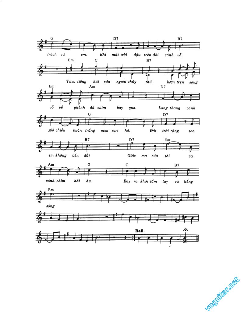 bay di canh chim bien 2.jpg