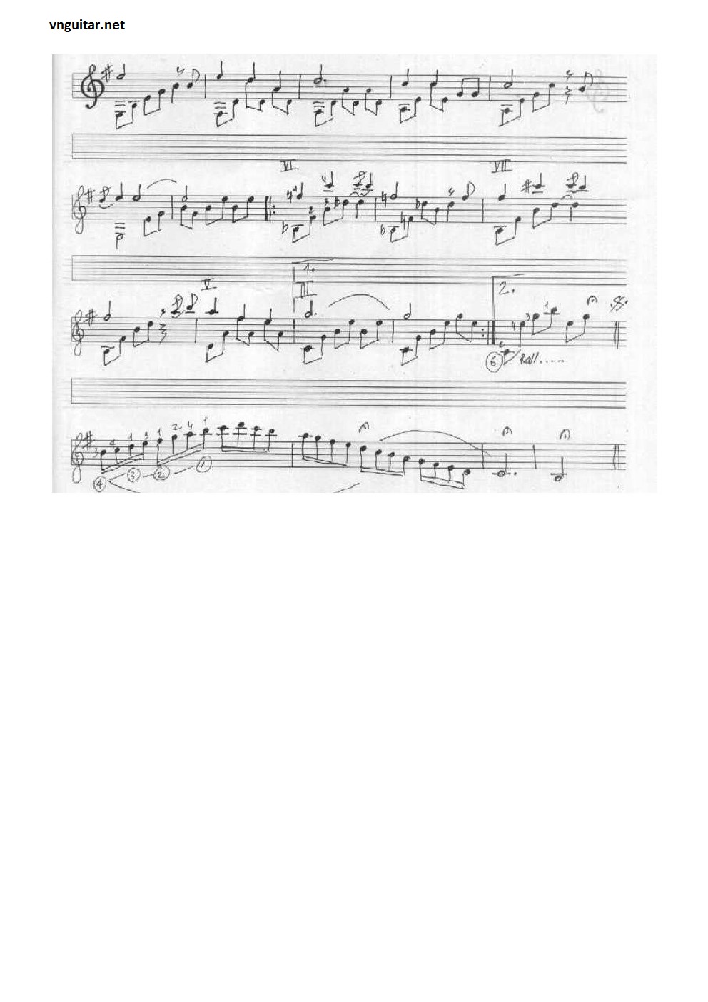 bay di canh chim bien 2.jpg