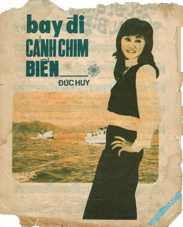 Bay di canh chim bien.jpg