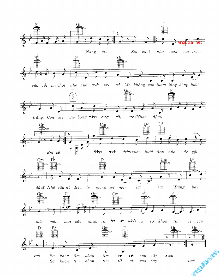 bong buoi hoa cau 2.png