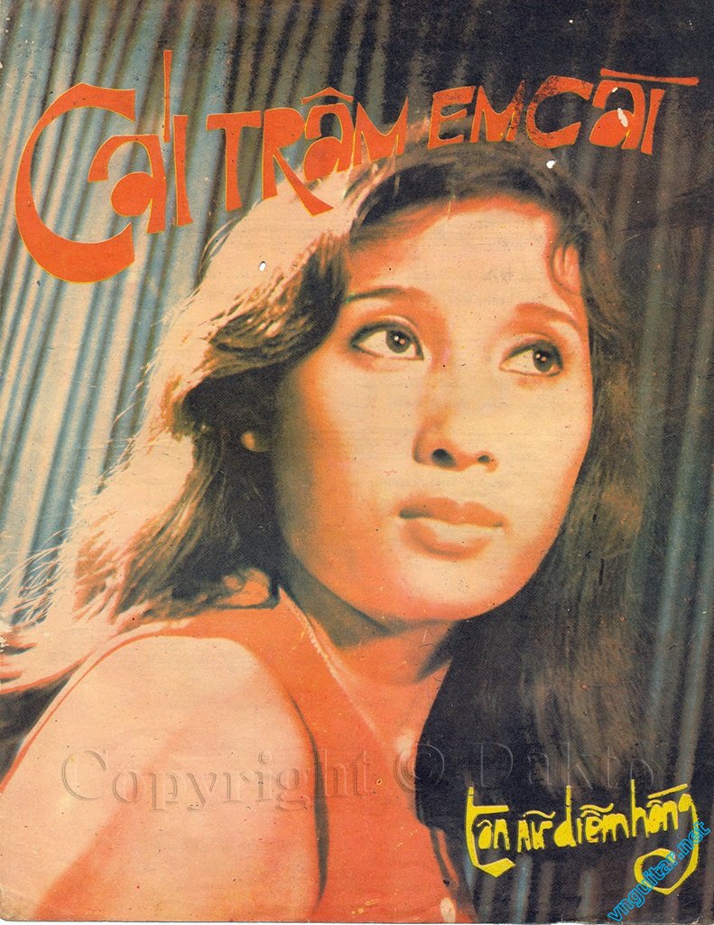 Cai tram em cai (Ton Nu Diem Hong) 1.jpg