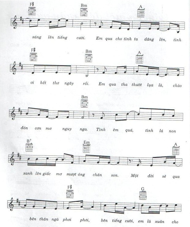 cam on mot doa xuan ngoi 2.jpg