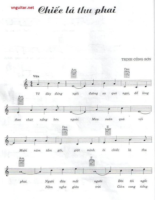 chiec la thu phai 1.jpg