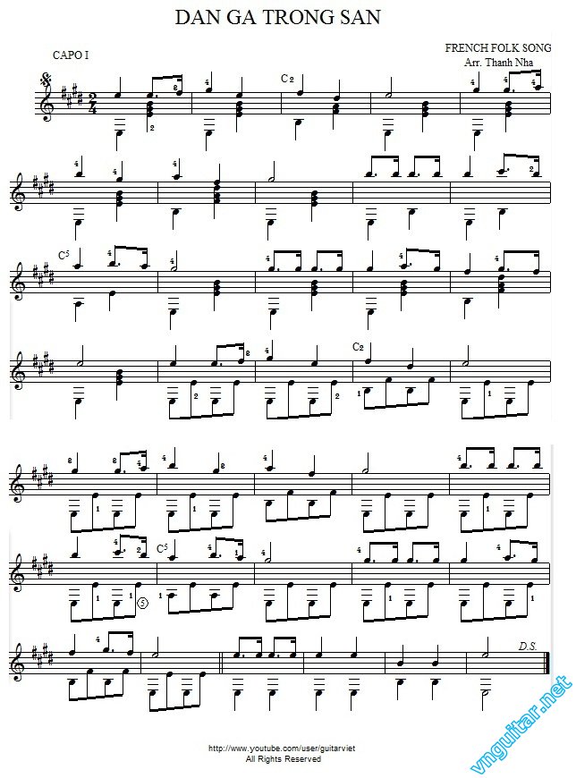 dan ga trong san.jpg