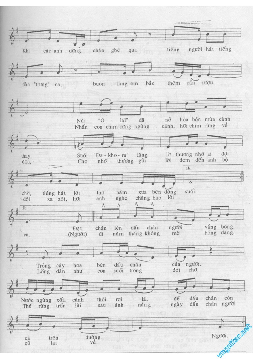 DAU CHAN TREN RUNG 0002.jpg