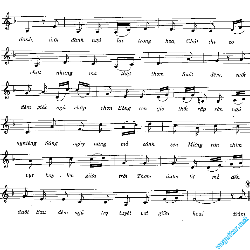 dem qua chim chich ngu dau 2.png