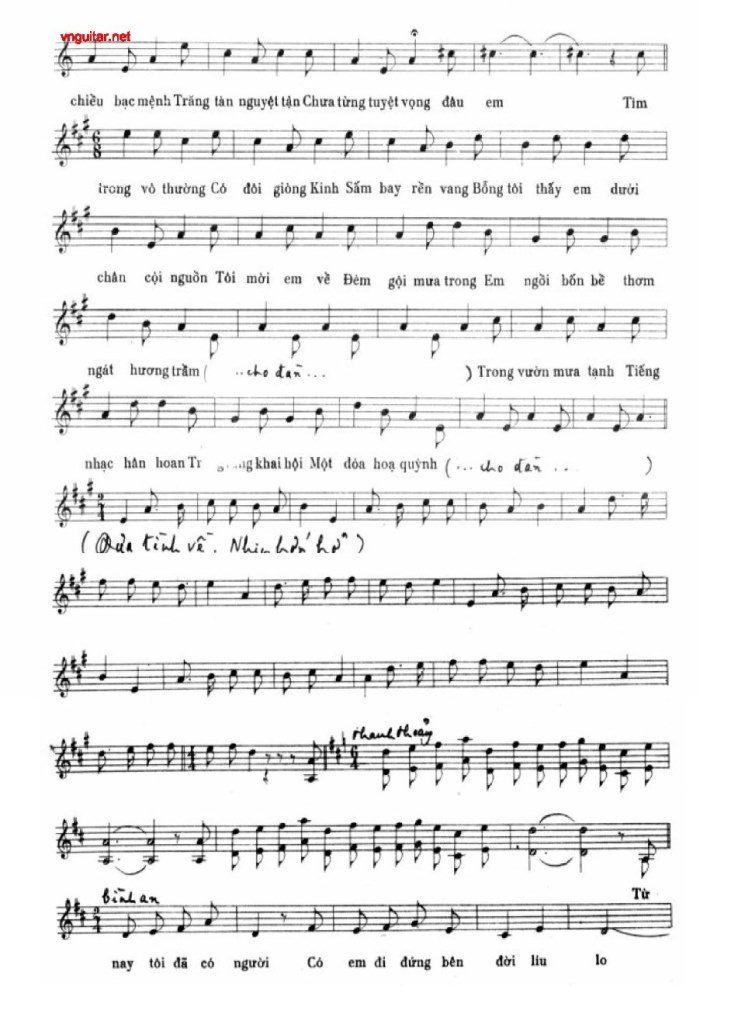 doa hoa vo thuong 0002.jpg