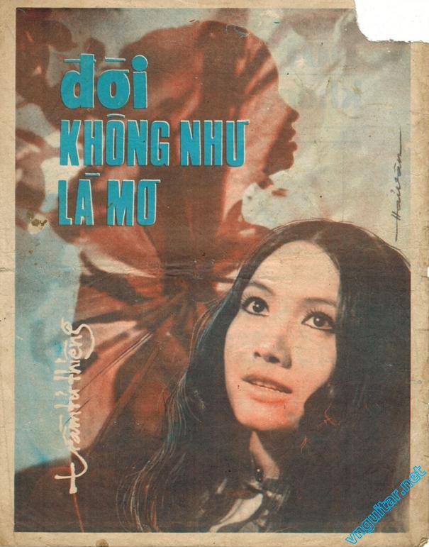 Doi khong nhu la mo.jpg