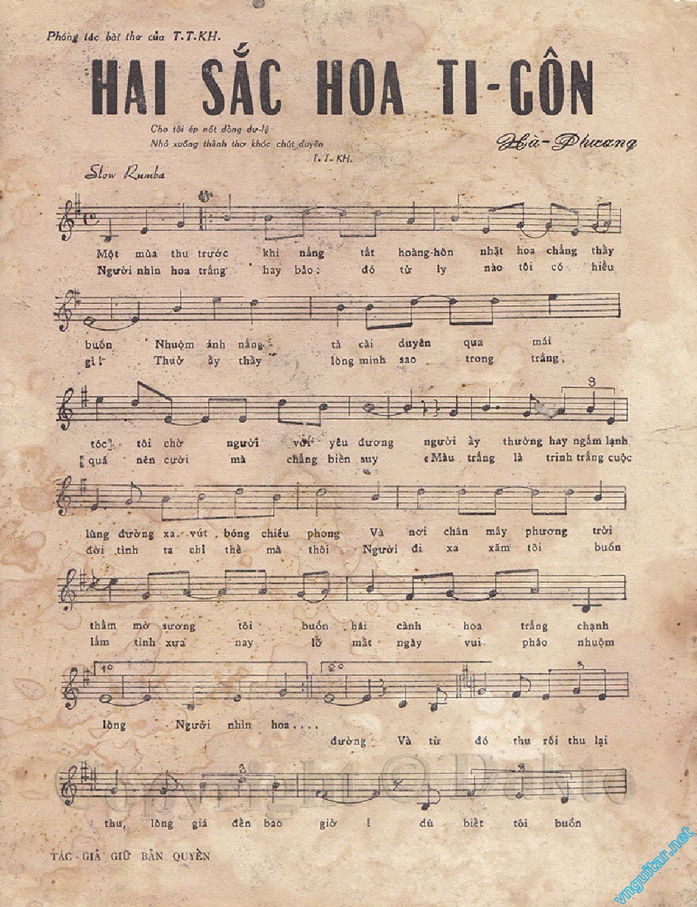 hai sac hoa ti gon HP  0001.jpg