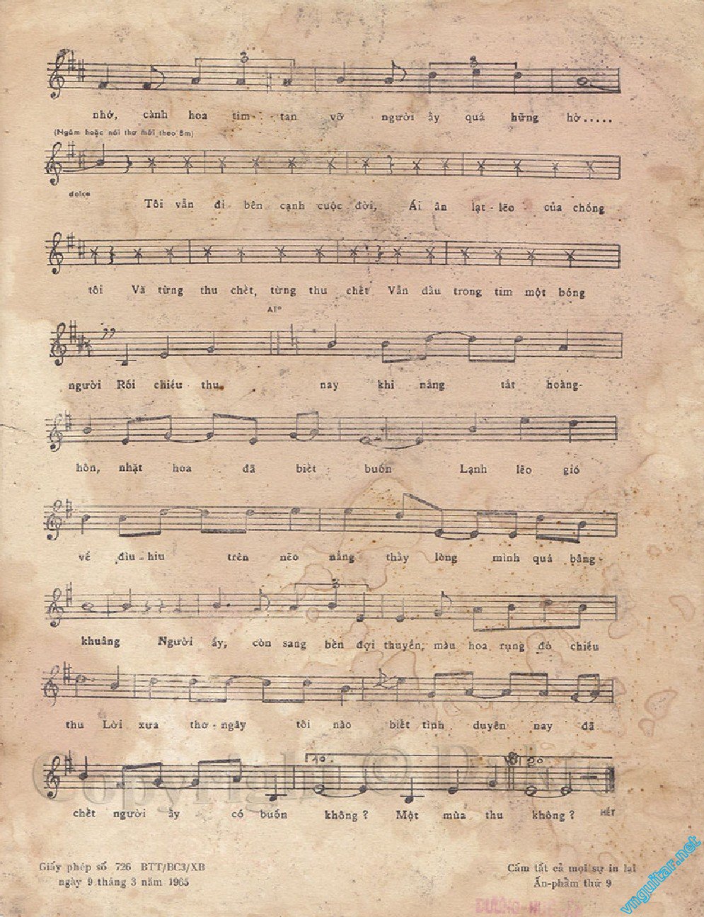 hai sac hoa ti gon HP  0002.jpg