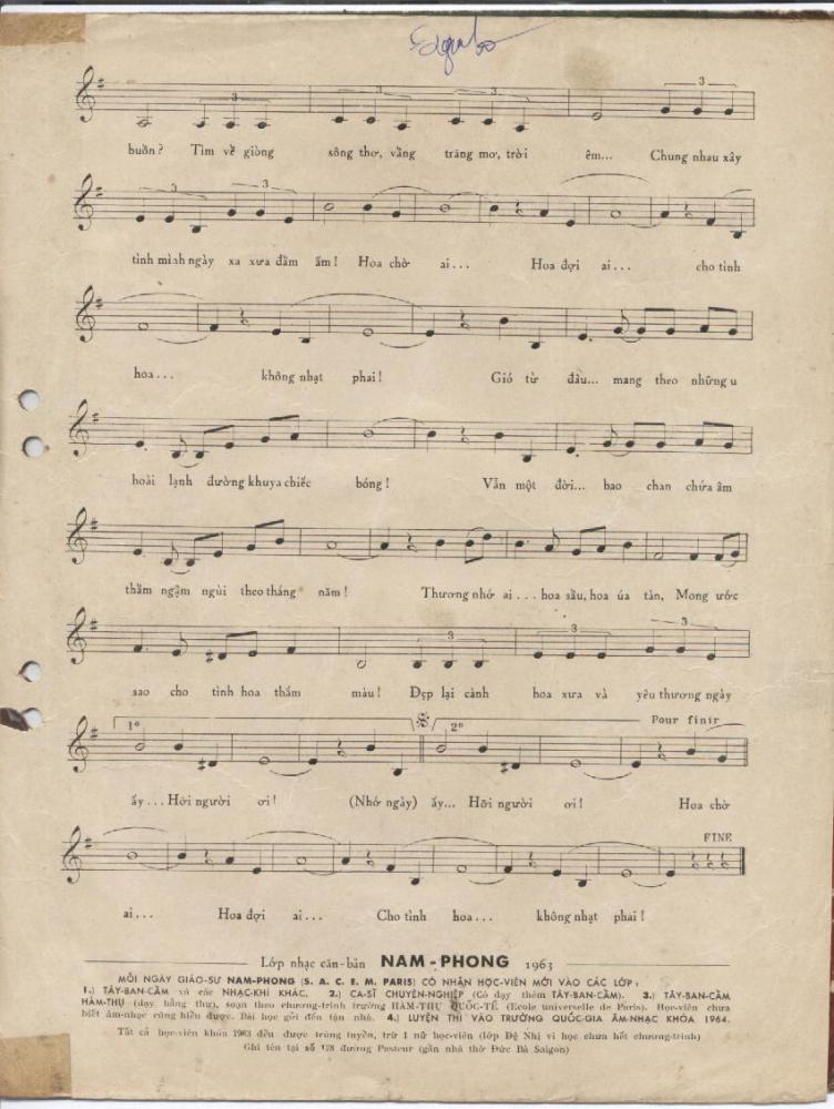 hoa nho thuong ai 2.jpg