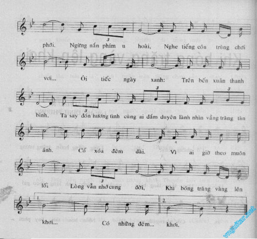 KHI BONG TRANG VANG LEN KHOI  0002.jpg