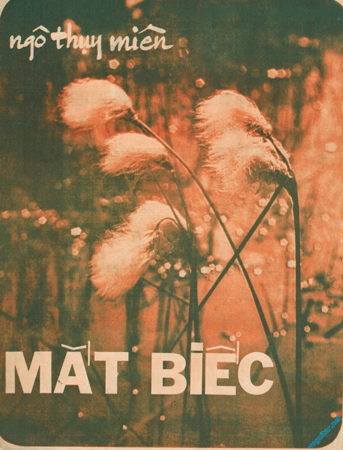 Mat-Biec-01.jpg