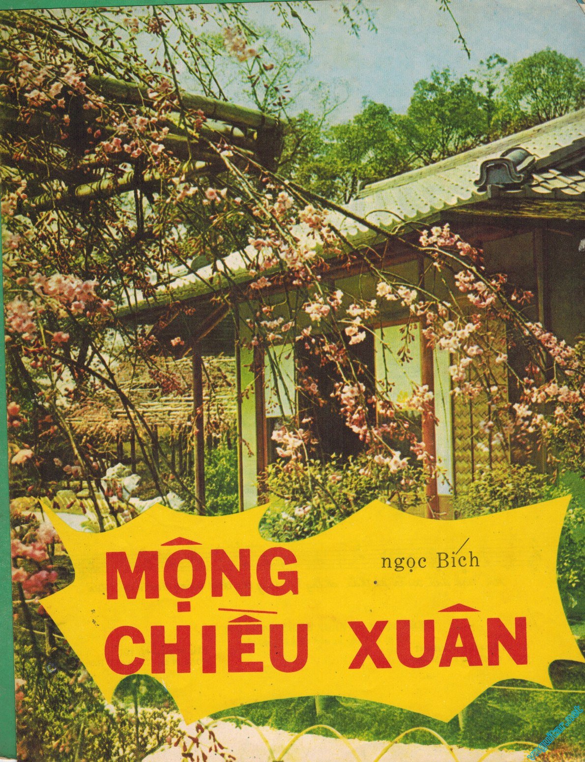 Mong-chieu-xuan-1.jpg
