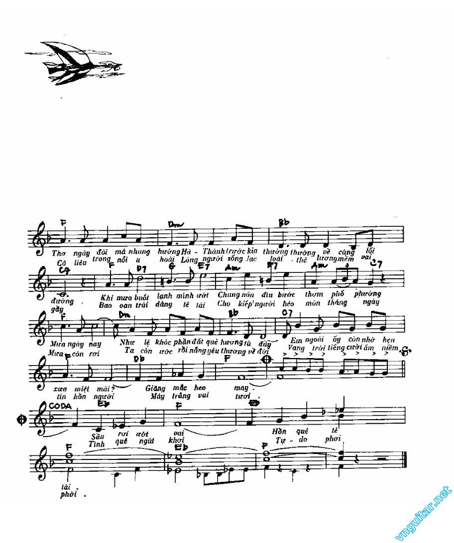 mua sai gon ha noi 0002.jpg