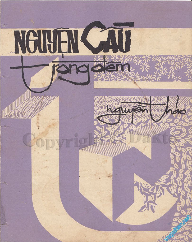 Nguyen cau trong dem.jpg