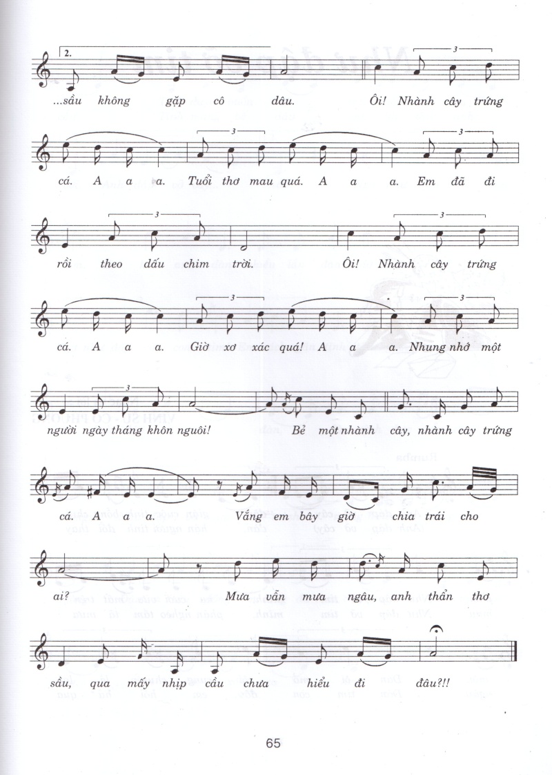 nhanh cay trung ca 2.jpg