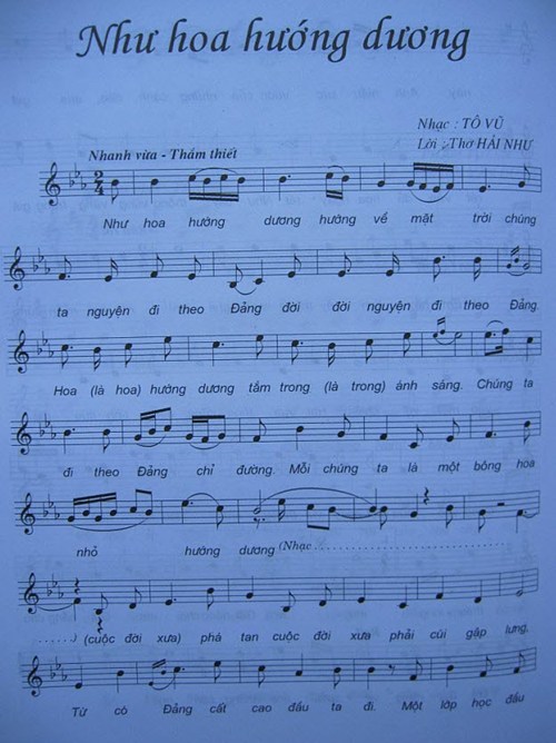 nhu-hoa-huong-duong-1.jpg