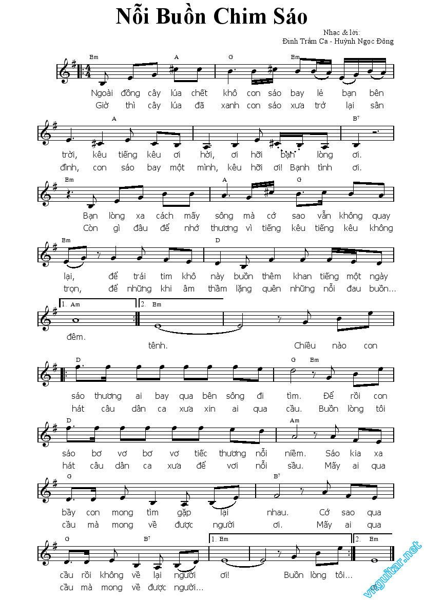 noi buon chim sao.png