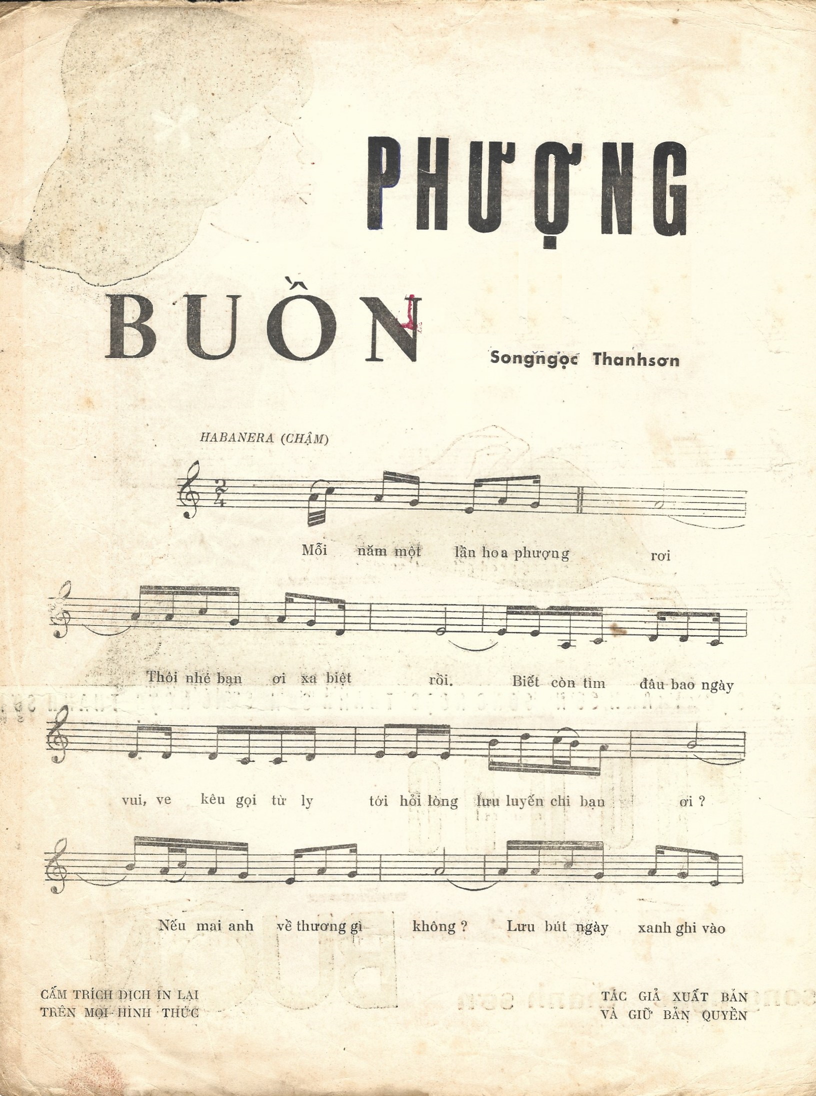Phượng Buồn-2.jpg