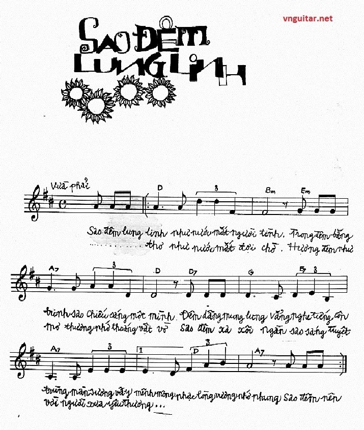 Sao dem lung linh 0001.jpg