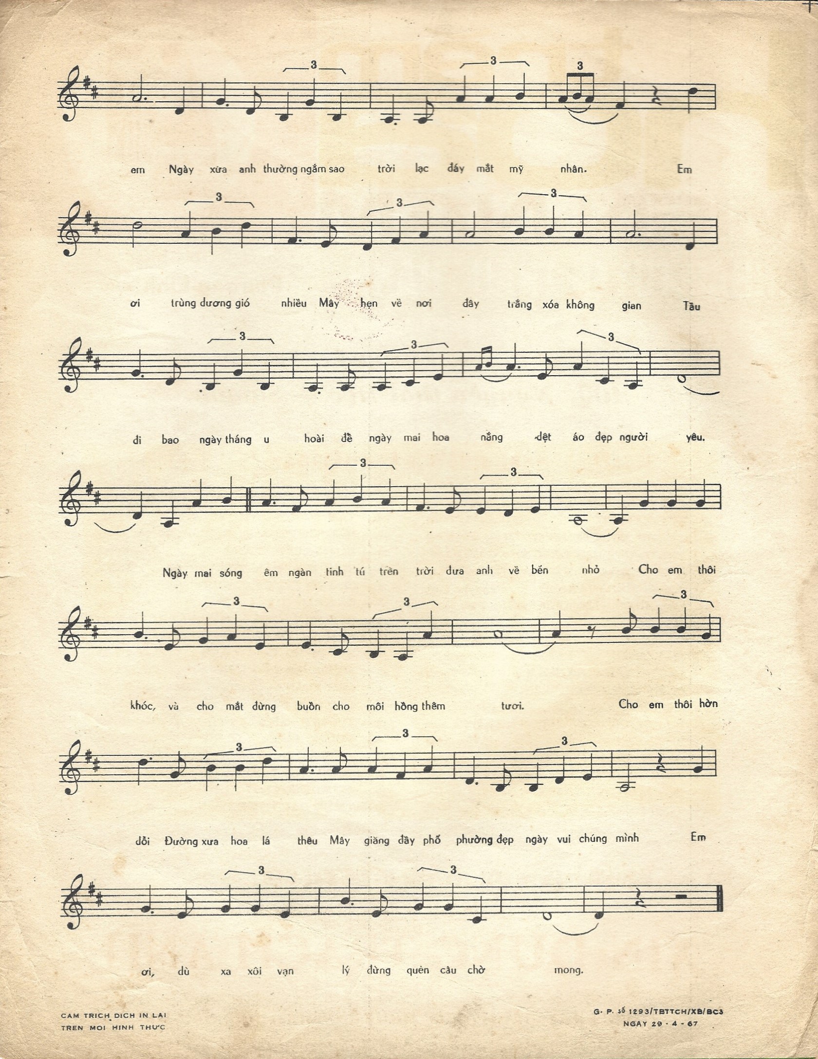 Sao Rơi Trên Biển-3.jpg