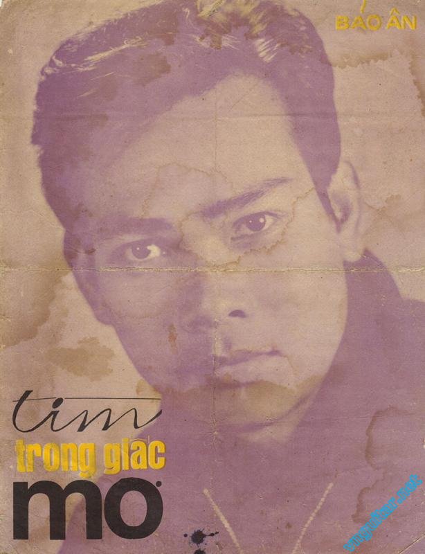 Tim trong giac mo.jpg