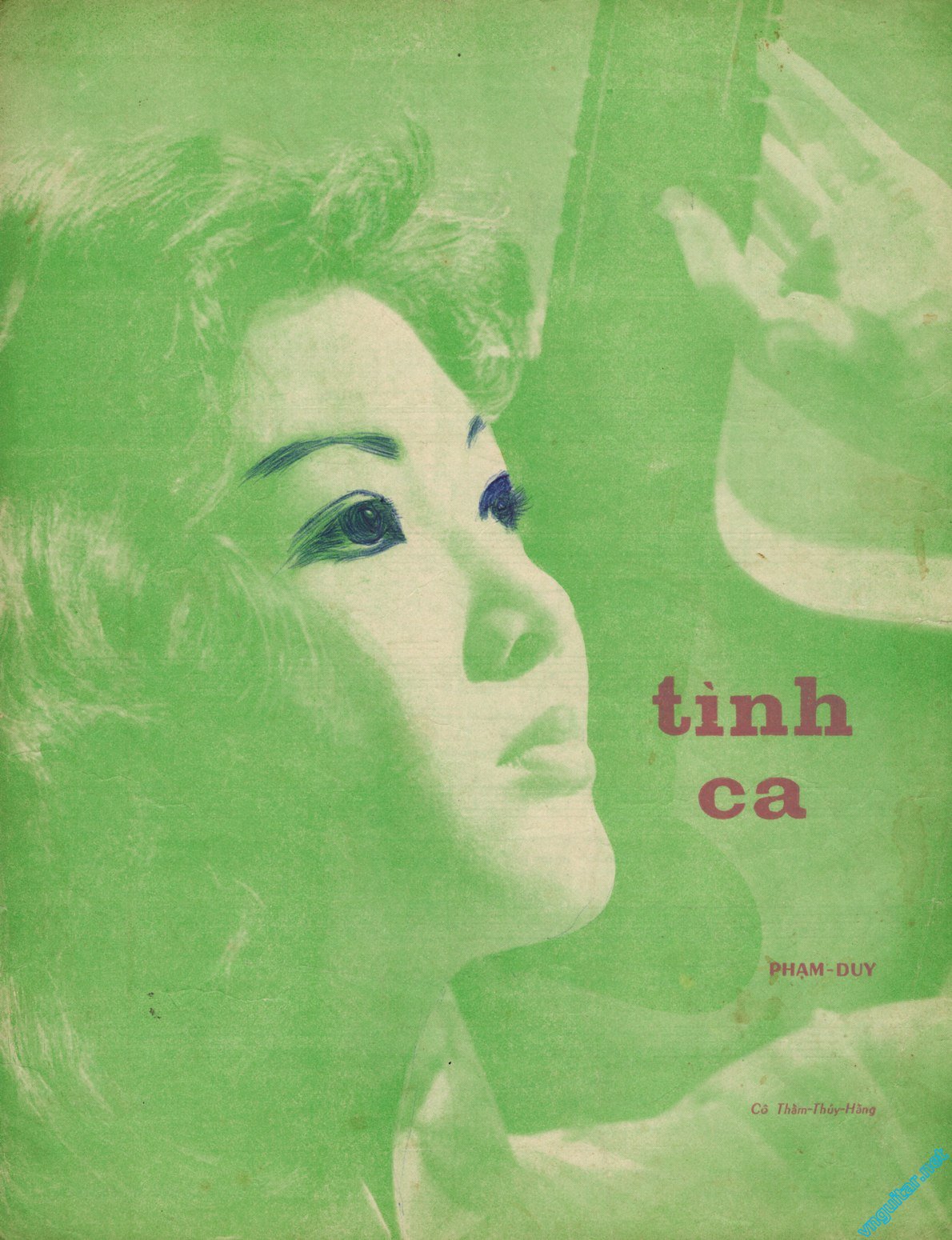 tinh-ca-1.jpg