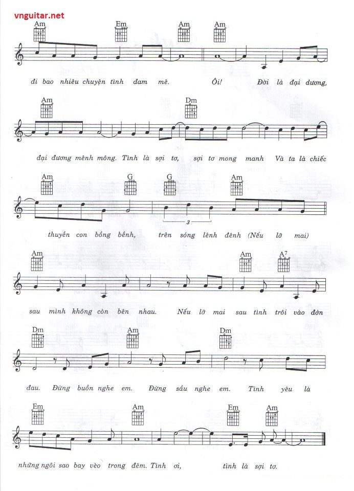 tinh la soi to 2.jpg