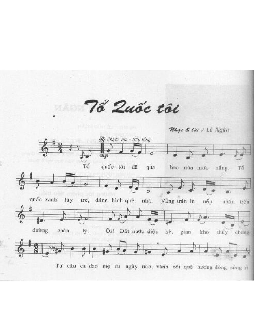 TO QUOC TOI 0001.jpg