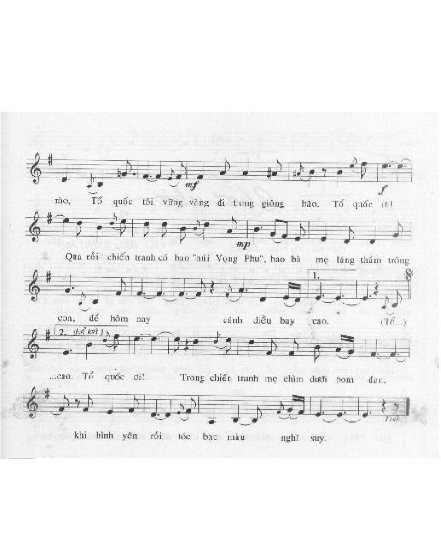 TO QUOC TOI 0002.jpg