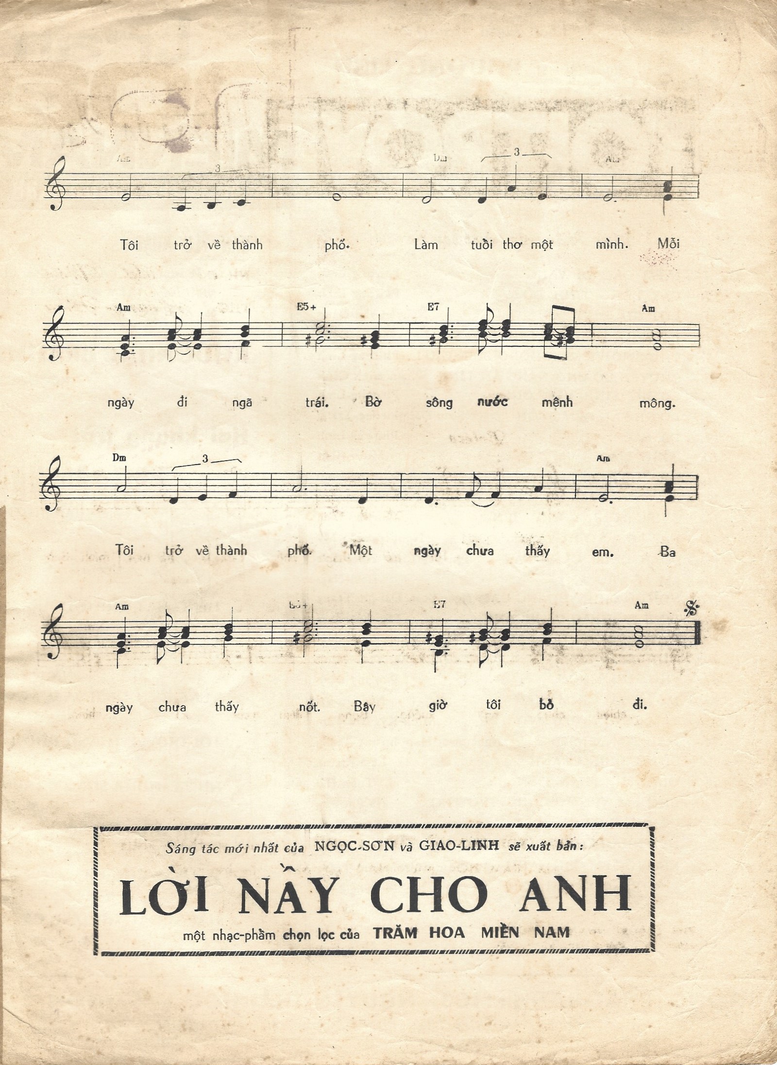 Tôi Trở Về Thành Phố-3.jpg