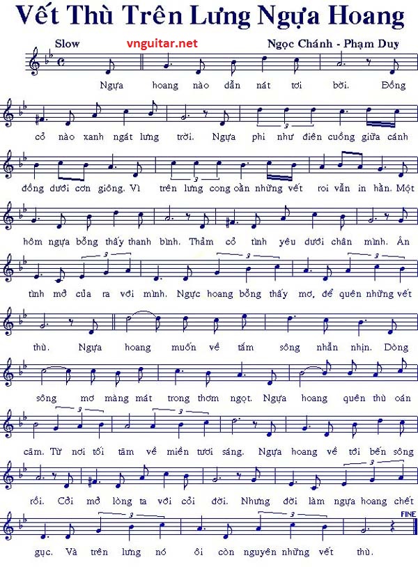 vet thu tren lung ngua hoang.jpg