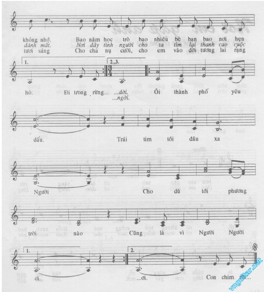 XA THANH PHO YEU DAU 0002.jpg