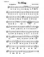 hop am - to hong.jpg