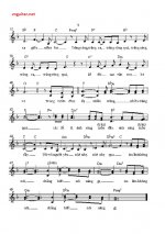 duongtrang3.jpg duongtrang3.jpg