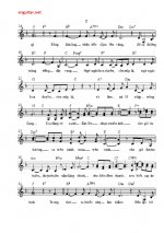 duongtrang2.jpg duongtrang2.jpg