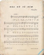 Hoa_no_ve_dem_1.jpg