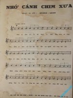 nho canh chim xua 2.jpg