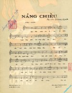 Nang_chieu_(Le_Trong_Nguyen)_2.JPG