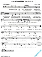 Con Duong Co Hang Phuong Tim-TT.jpg