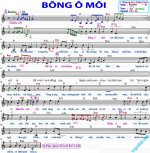 BONG O MOI-Son Ha Am.jpg