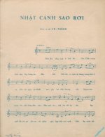 Nhat-canh-sao-roi-2.jpg