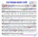 VUI TRONG NGÀY CƯỚI -Le Minh C.jpg