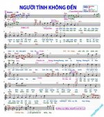 NGƯỜI TÌNH KHÔNG ĐẾN_Thuong Ngan.jpg