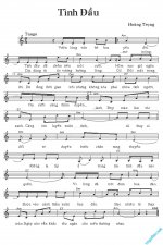 Tinh dau - Hoang Trong.jpg