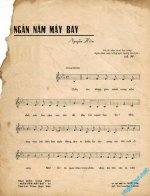 Ngan nam may bay (1).jpg