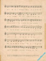 Mua hoa anh dao (2).jpg